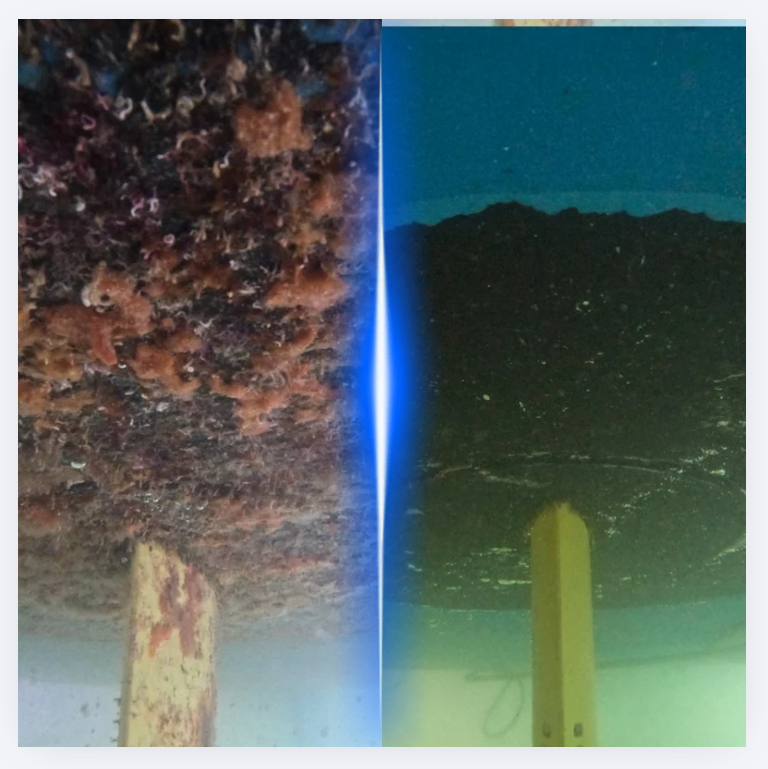 Rudder and skeg before and after cleaning